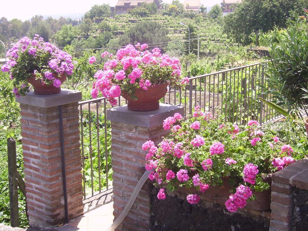 B&B Villa Dagala Санта-Венерина Номер фото